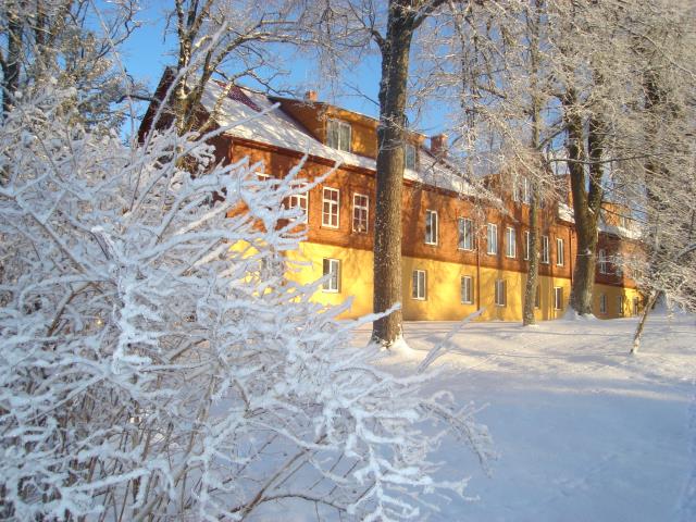 Bibliotēka ziemā